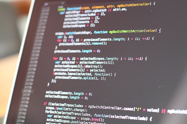 Software Ontwikkelaar met een Brede Horizon (Stage)