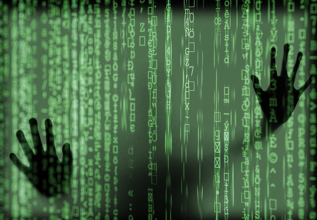 Software Security Analyst met Lef (Stage)